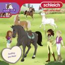 [German] - Folge 25: Ausflug ans Meer Audiobook