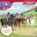 [German] - Folge 28: Ein Lehrgang mit Folgen Audiobook