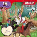 [German] - Folge 29: Auf der Lauer Audiobook