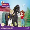 [German] - Rätsel um Princess - Das Hörbuch Audiobook