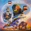 Tests and Trials (Book 15) Audiobook