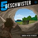 Zurück in die Steinzeit: 5 Geschwister - Folge 25 Audiobook