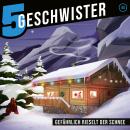 [German] - Gefährlich rieselt der Schnee Audiobook