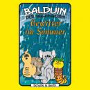 Gewitter im Sommer (Balduin der Regenwurm 4): Ein musikalisches Kinder-Hörspiel Audiobook