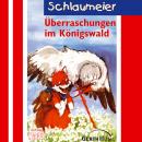 Überraschungen im Königswald (Schlaumeier 3): Kinder-Hörspiel Audiobook