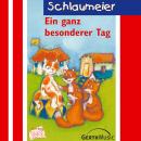 Ein ganz besonderer Tag ( Schlaumeier 6): Kinder-Hörspiel Audiobook