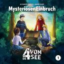 [German] - 01: Mysteriöser Einbruch Audiobook