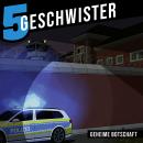 [German] - Geheime Botschaft Audiobook