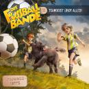 [German] - Die Fussballbande, Folge 11: Teamgeist über alles! Audiobook