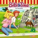 [German] - Bibi & Tina, Folge 45: Der Pferdedieb Audiobook