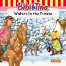 Bibi and Tina, Wolves in the Puszta Audiobook