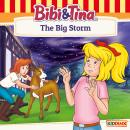 Bibi and Tina, The Big Storm Audiobook