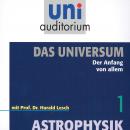 Das Universum 01: Der Anfang von allem: Astrophysik Audiobook