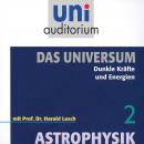 Das Universum 02: Dunkle Kräfte und Energien: Astrophysik Audiobook