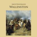 Wallenstein Audiobook
