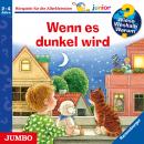 Wieso? Weshalb? Warum? Junior. Wenn es dunkel wird Audiobook