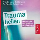 Trauma heilen: Mit Übungen und geführten Imaginationen Audiobook