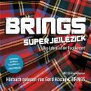 Superjeilezick - Das Leben ist ein Rockkonzert Audiobook