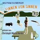 [German] - Finnen von Sinnen Audiobook