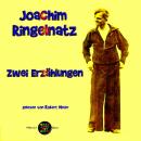 Zwei Erzählungen von Joachim Ringelnatz: gelesen von Robert Meier Audiobook