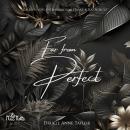 Far from perfect Audiobook