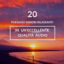 ambiente rilassante per il sonno, meditazione, sonno profondo: 20 paesaggi sonori rilassanti in un'e Audiobook