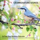 Cover of Calming Nature Sounds (without music) for Deep Sleep, Meditation, Relaxation: Gentle rain, warm springs, chirping crickets, a songbird concert, the sounds of the sea, tropical storm