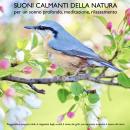 Suoni calmanti della natura (senza musica) per un sonno profondo, meditazione, rilassamento: Piogger Audiobook