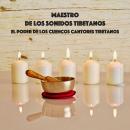 Maestro de los sonidos tibetanos: El Poder de los Cuencos Cantores Tibetanos: Terapia de Sonido Vibr Audiobook