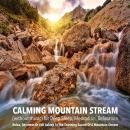 Calming Mountain Stream (without music) for Deep Sleep, Meditation, Relaxation: Relax, De-stress Or  Audiobook