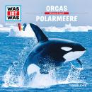 [German] - 50: Orcas / Polarmeere Audiobook