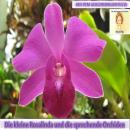 Rosalinda und die sprechende Orchidee: Aus dem gleichnamigen Buch: Die Abenteuer der kleinen Rosalin Audiobook