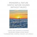 Wonderful Nature: Gentle nature sounds (without music): Calming rain, morning songbirds, mountain st Audiobook