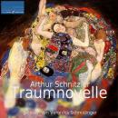 Traumnovelle Audiobook