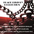 Black History Collection: Narrative of the Life of Frederick Douglass, Incidents in the Life of a Sl Audiobook