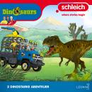 [German] - Folgen 39-40: Der unbekannte See Audiobook