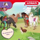 [German] - Folge 31: Die geheimnisvolle Falltür Audiobook