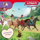 [German] - Folge 33: Ein Geburtstag mit Folgen Audiobook
