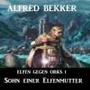 [German] - Elfen gegen Orks 1 - Sohn einer Elfenmutter Audiobook
