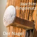 [German] - Der Nagel Audiobook