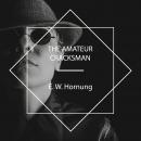 The Amateur Cracksman Audiobook