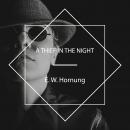 A Thief in the Night Audiobook