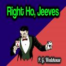 Right Ho, Jeeves Audiobook