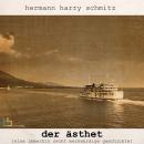 [German] - Der Ästhet: Eine immerhin recht merkwürdige Geschichte Audiobook