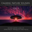 Cover of Calming Nature Sounds Vol. II with Relaxing Music for Healing, Meditation and Sleeping: Achieve Deeper Levels of Stress Relief, Tranquility and Focus