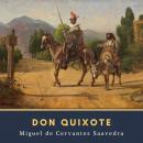 Don Quixote Audiobook