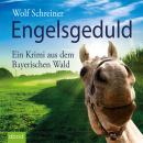 Engelsgeduld: Ein Fall für Pfarrer Senner 5 - Ein Krimi aus dem Bayerischen Wald Audiobook