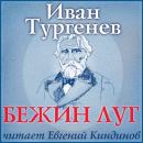[Russian] - Бежин луг Audiobook