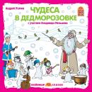 Чудеса в Дедморозовке Audiobook