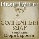 [Russian] - Солнечный удар Audiobook